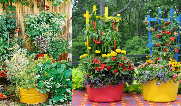 Grow a Garden in Containers