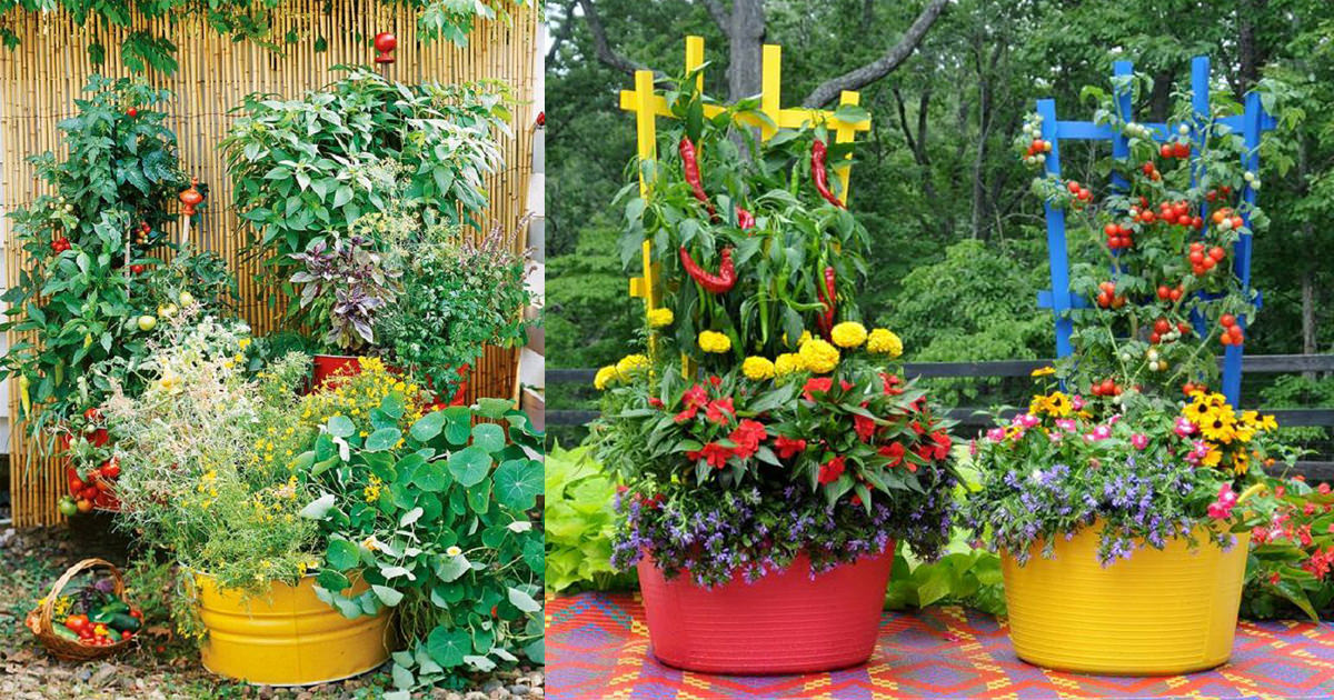 Grow a Garden in Containers