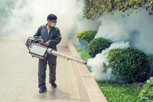 Pest management Singapore