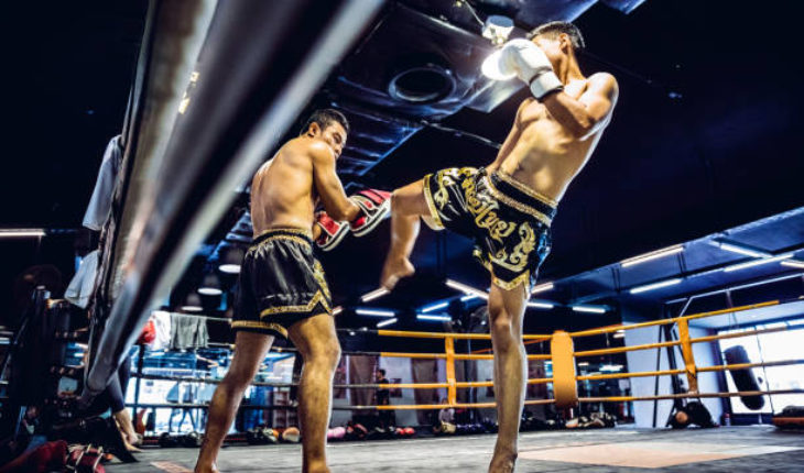 First Muay Thai Session? Here's What To Expect.
