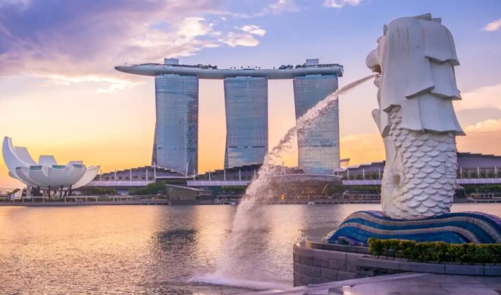 Tips and advice on how to decide about a Singapore visit pass