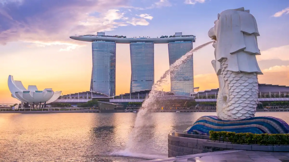 Tips and advice on how to decide about a Singapore visit pass