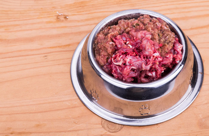 raw diet for dogs