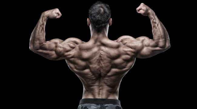 The Psychological Impact of Steroids in Bodybuilding