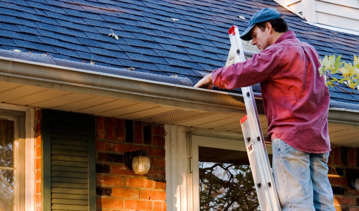 Is your roof ready for the season? Professional Cleaning of the Roof